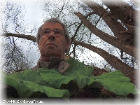 Der getarnte Fotograf