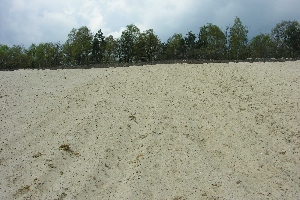 M�rkischer Sand in der Kiesgrube